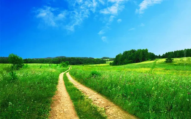 Venta de tierras agrícolas: Tierras cultivables, suelos y otros, tierras agrícolas