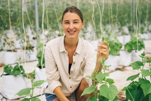 Invernaderos solares en España: Megaproyecto de agricultura ecológica: ¿solución para el planeta?