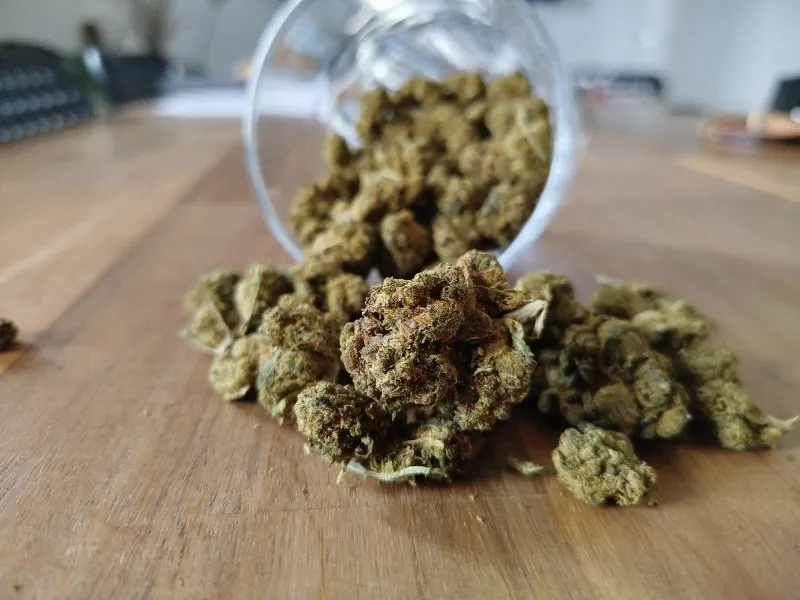 ¡Pedí cannabis online! #GameChanger – Mi experiencia con CannaZen